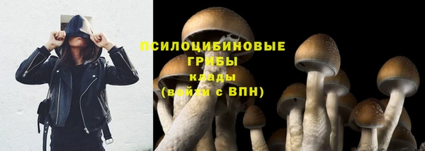 2c-b Карталы