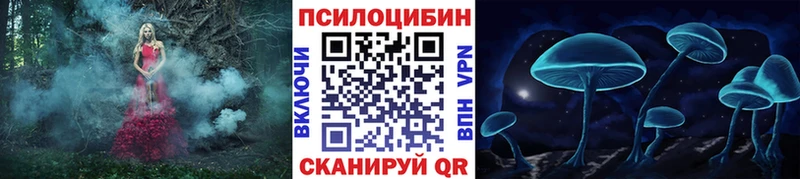 Галлюциногенные грибы GOLDEN TEACHER  Купить где  Нелидово 