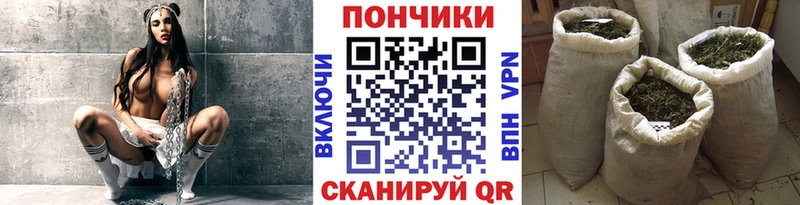 Бошки Шишки индика Купить Нелидово